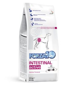 Active Dog Intestinal 22lb