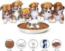 Puppy Feeder Bowl, Stainless Steel Dog Bowls for Puppy, Food Feeding Weaning Bowl for Small Medium Large Dogs (Large Size, 13.4 Inch)