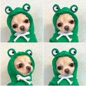 Cute Fruit Dog Clothes For Small Dogs Hoodies Winter Warm Fleece Pet Clothing Puppy Cat Costume Coat For French Chihuahua Outfit (Option: 5 Style-XL)