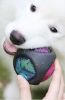 Pet Rubber Bouncing Toy Dog Chew Toy Light up Ball Squeaky Toy, Bite Resistant Irregular Shape Toy